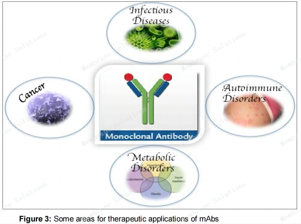 單克隆抗體的應(yīng)用