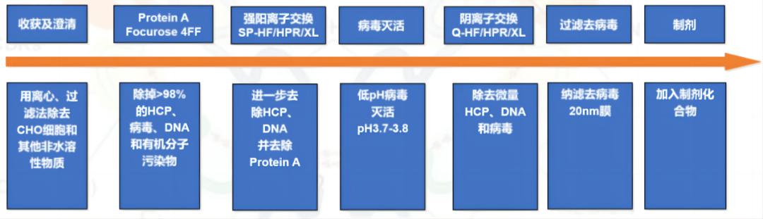 克隆抗體下游工藝過(guò)程